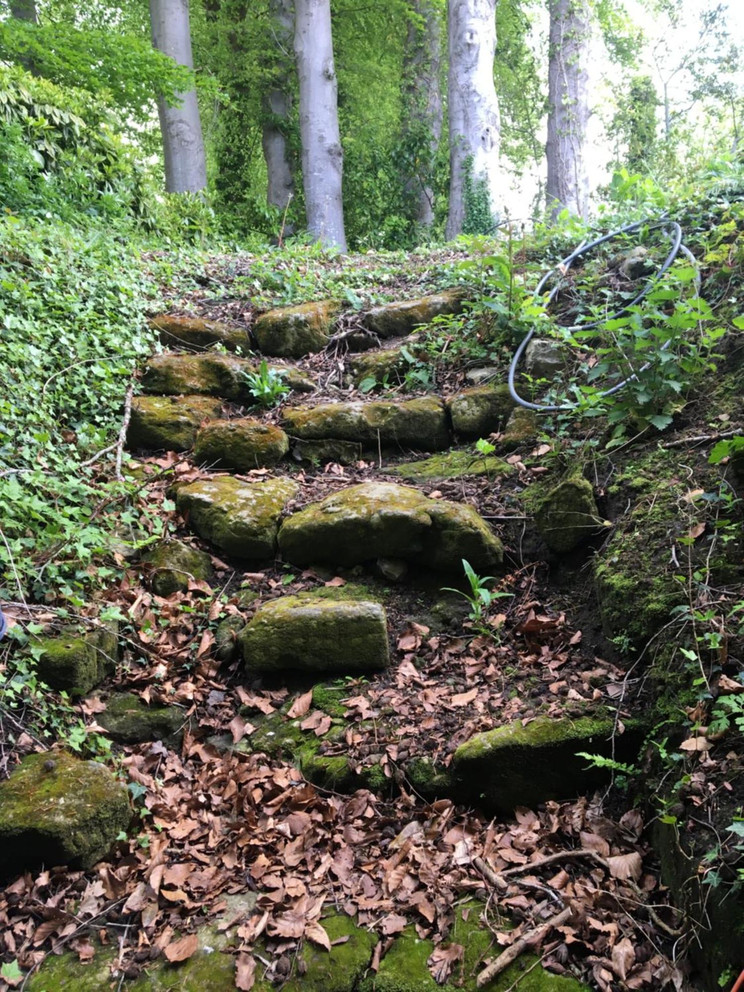 Le Clos Du Val A Loup Bénarville Екстериор снимка